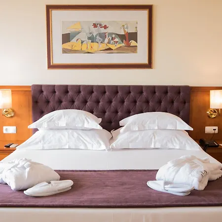 Gale - Centro Oporto